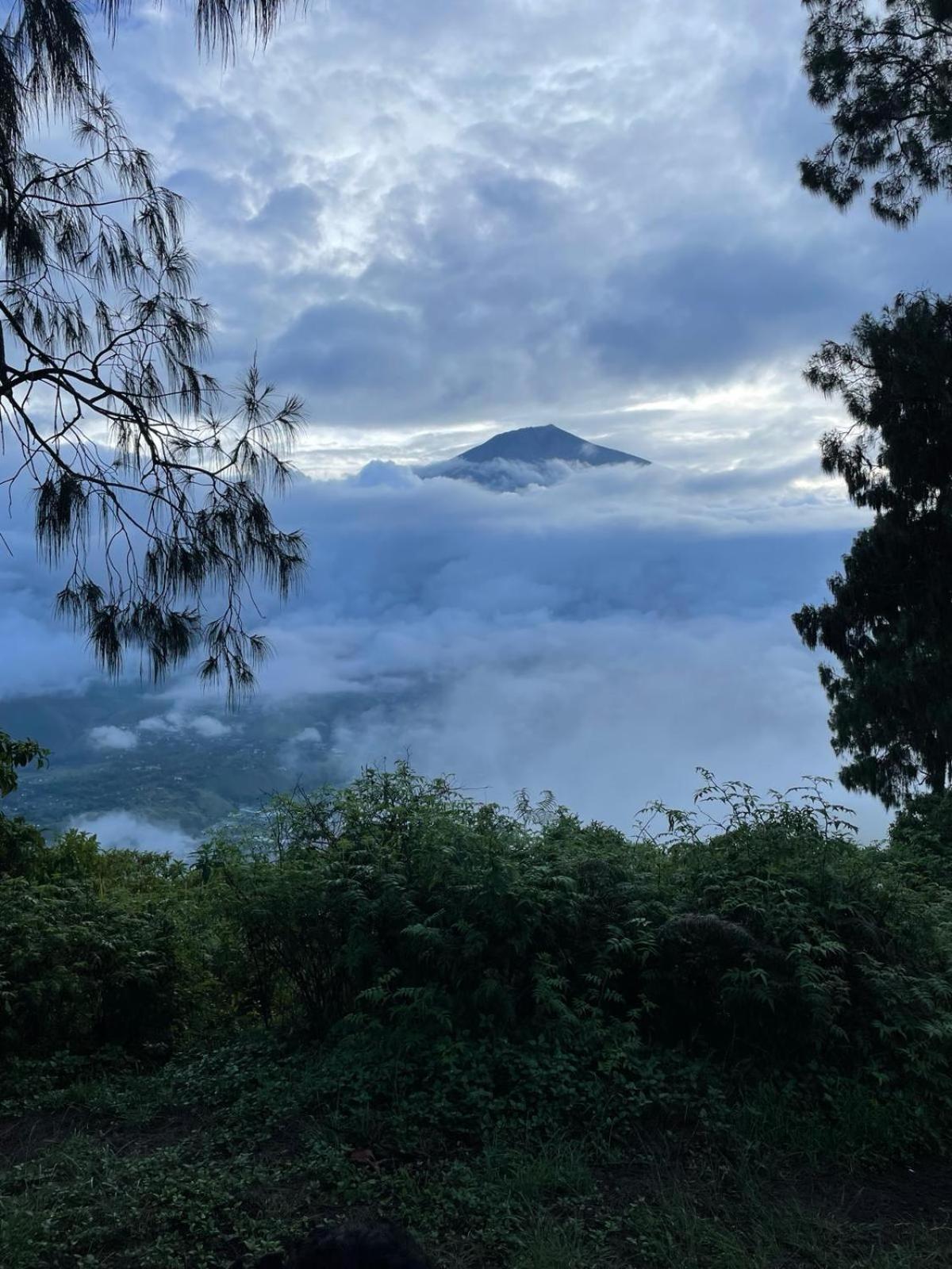Avocado Homestay Tetebatu Dış mekan fotoğraf