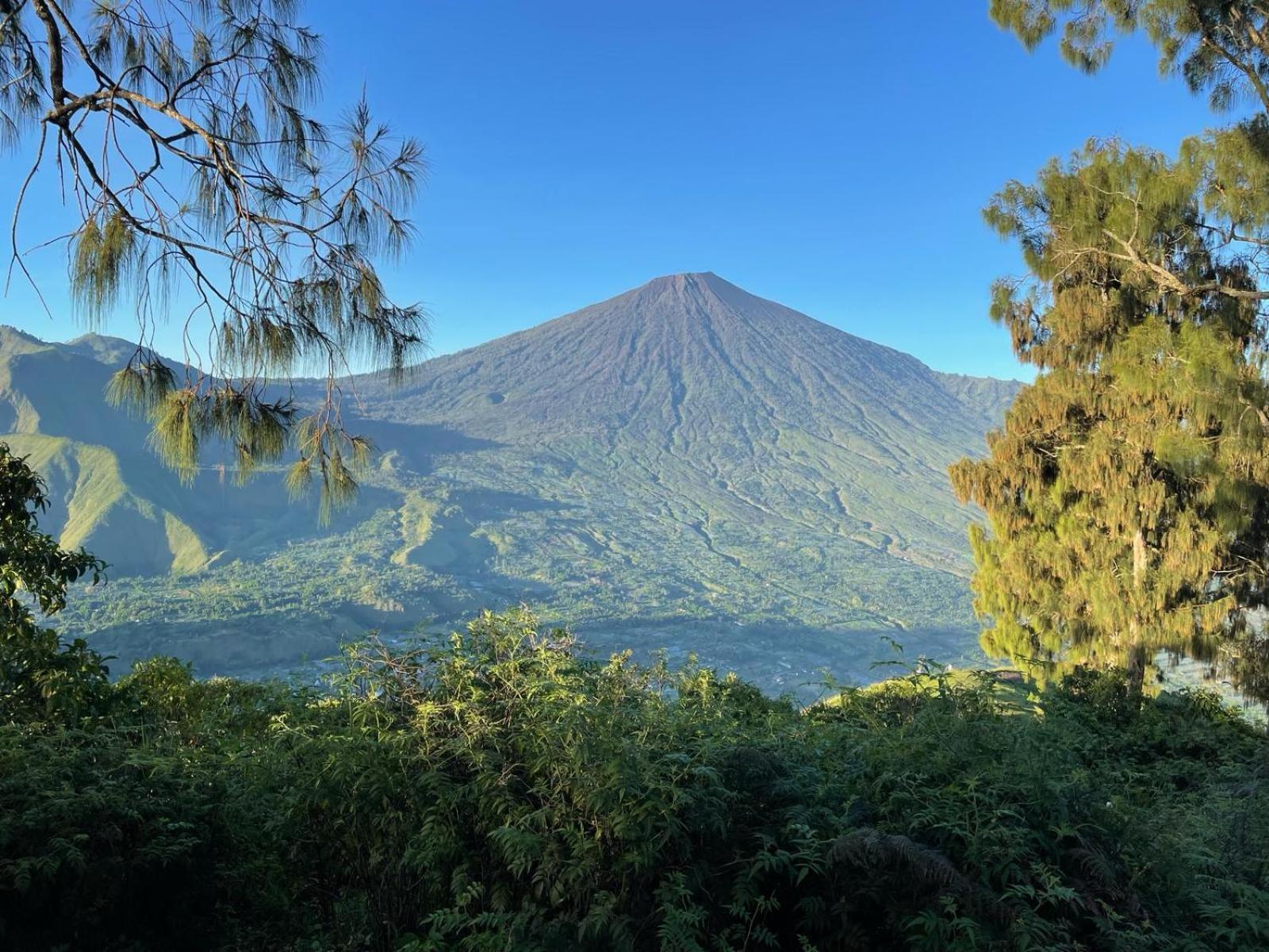 Avocado Homestay Tetebatu Dış mekan fotoğraf