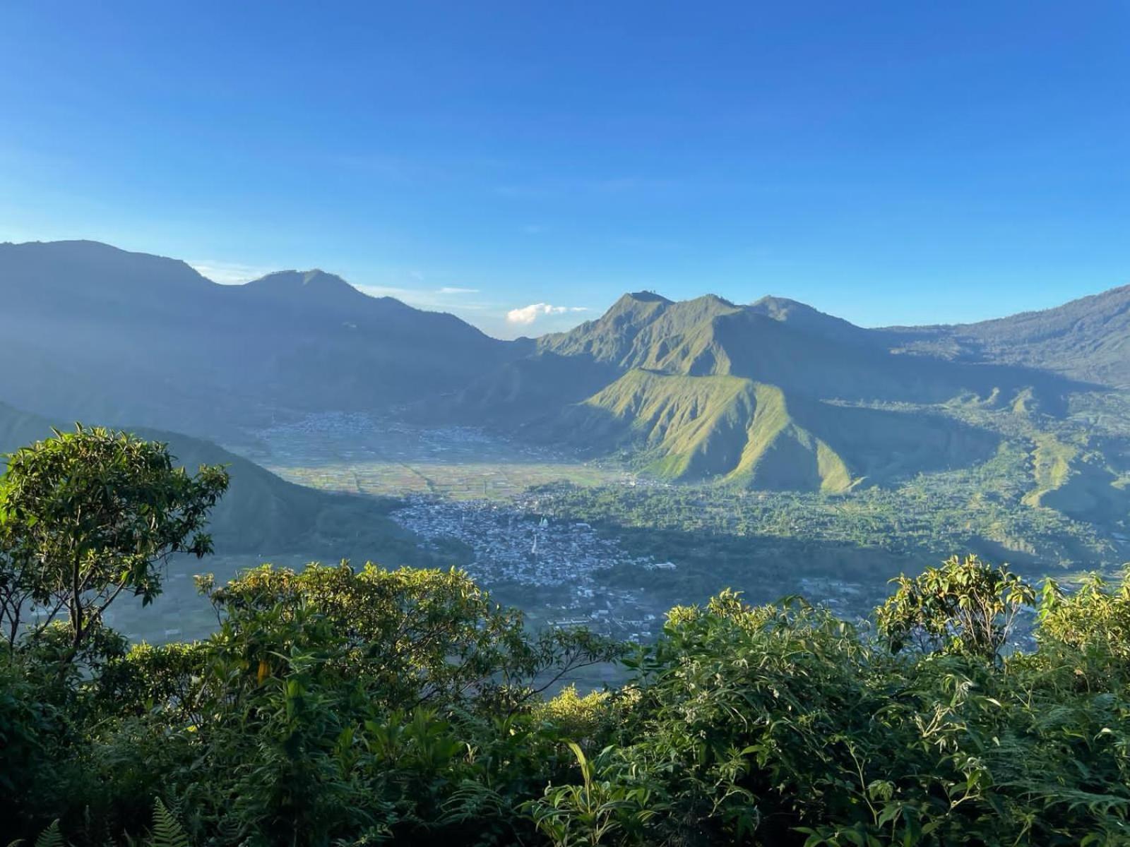 Avocado Homestay Tetebatu Dış mekan fotoğraf