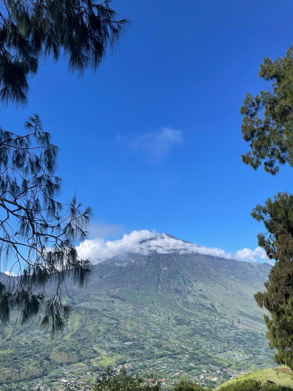 Avocado Homestay Tetebatu Dış mekan fotoğraf