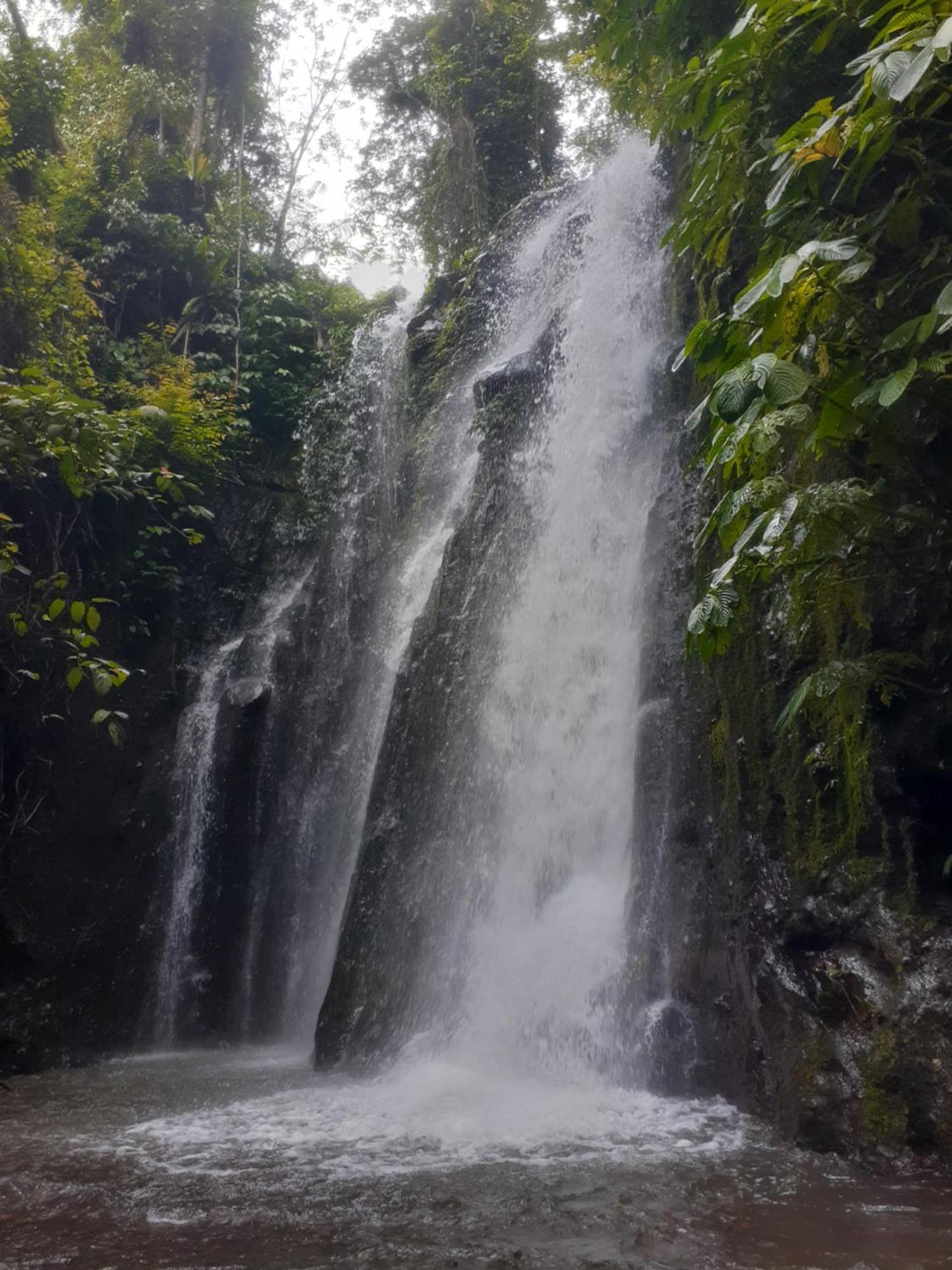 Avocado Homestay Tetebatu Dış mekan fotoğraf
