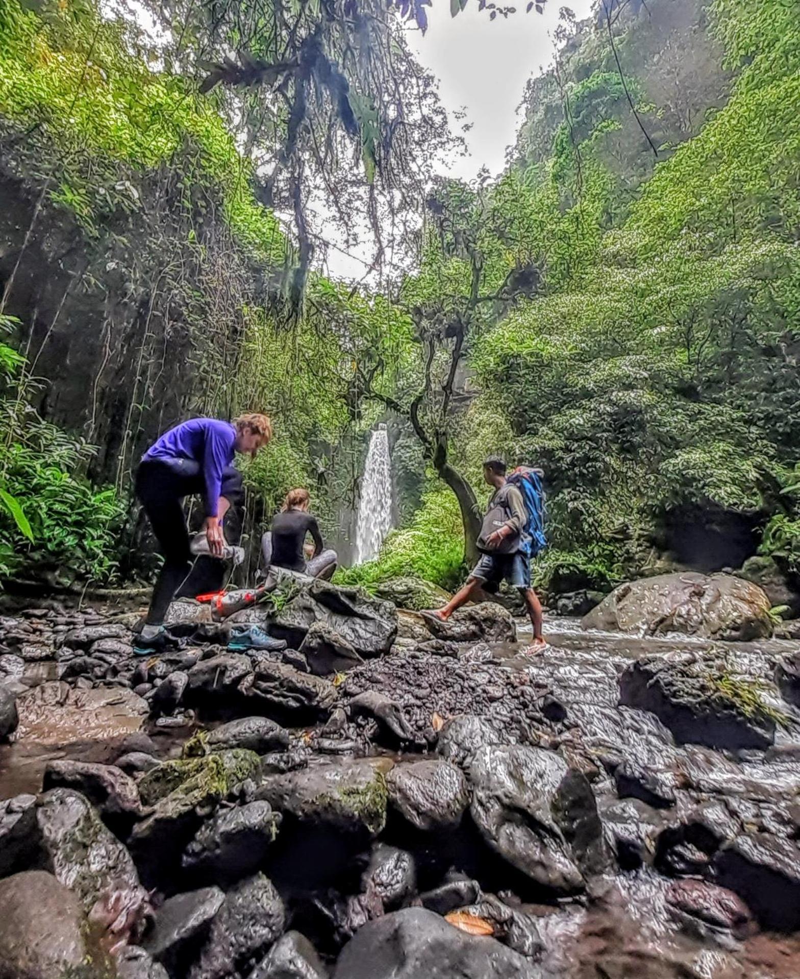 Avocado Homestay Tetebatu Dış mekan fotoğraf