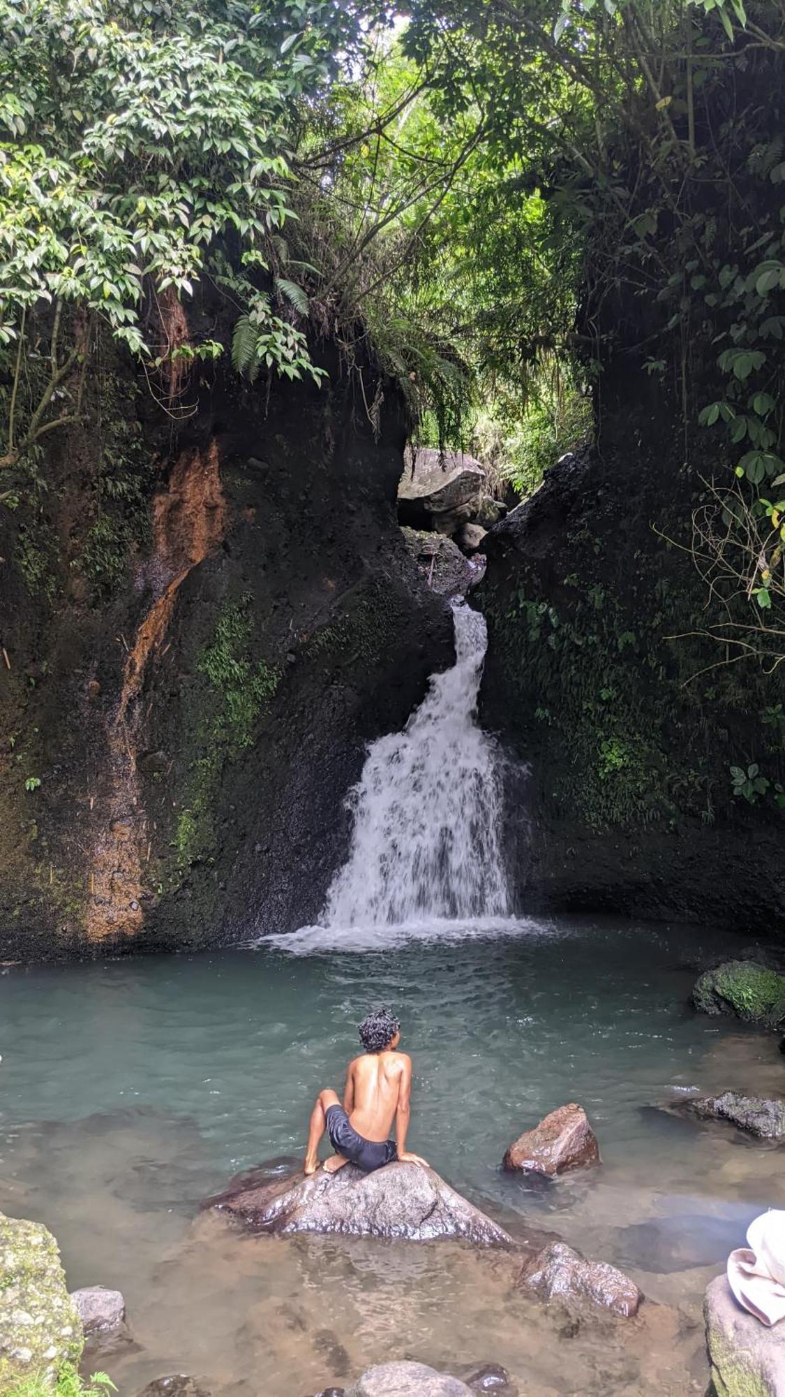 Avocado Homestay Tetebatu Dış mekan fotoğraf