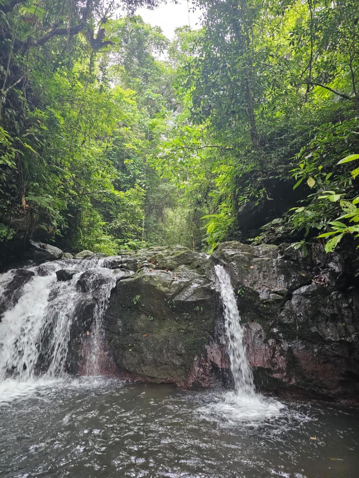 Avocado Homestay Tetebatu Dış mekan fotoğraf