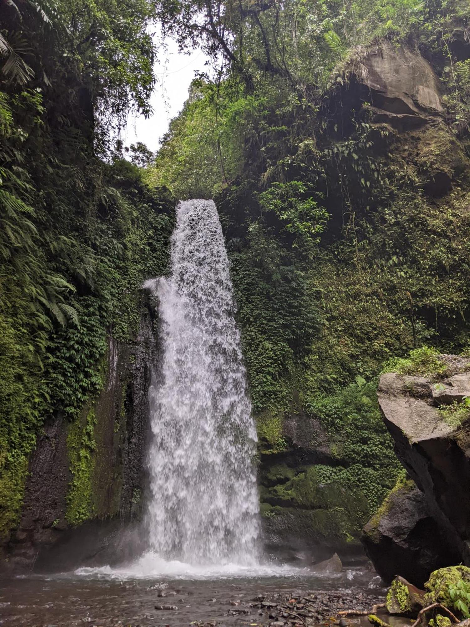 Avocado Homestay Tetebatu Dış mekan fotoğraf