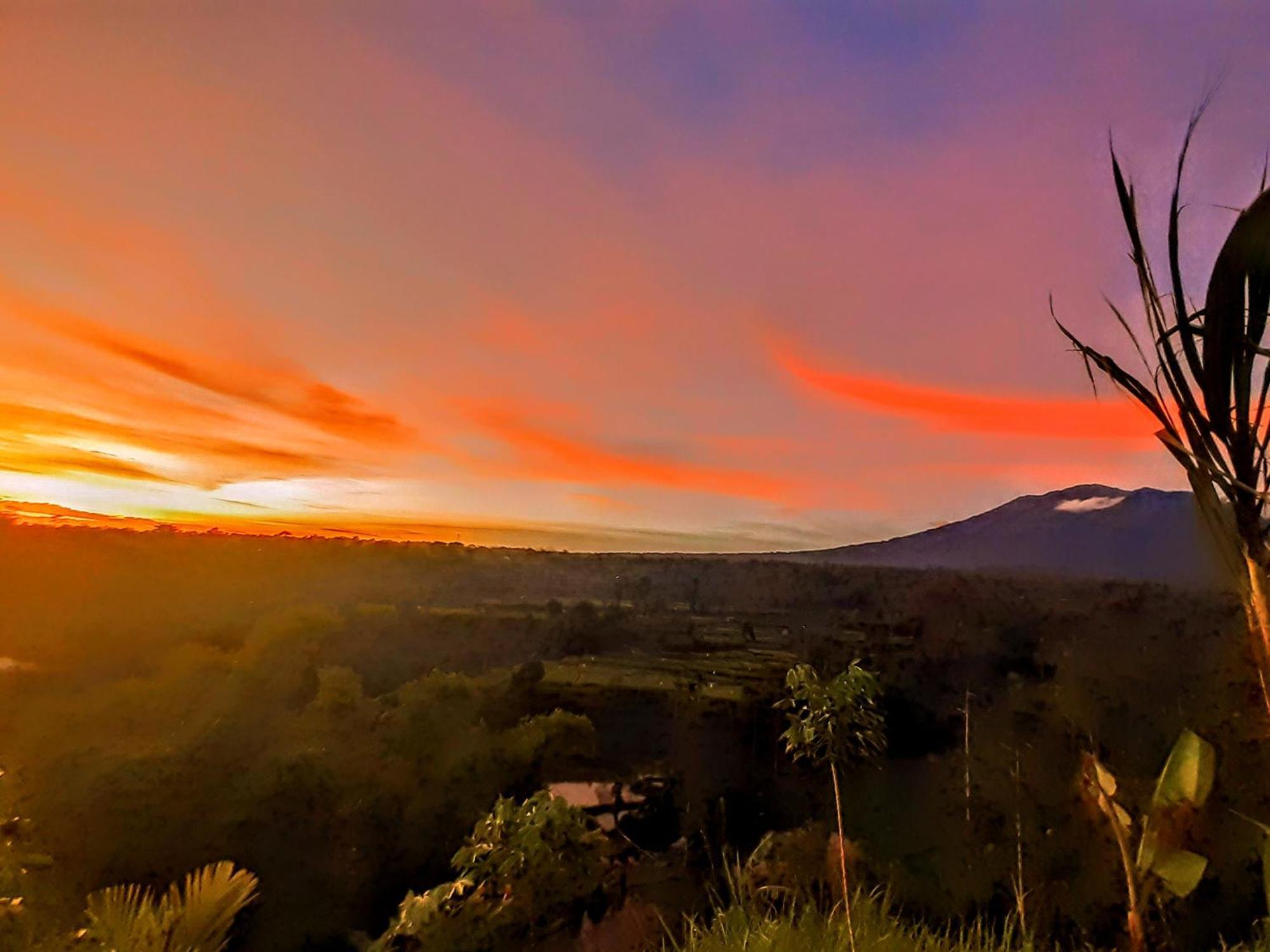 Avocado Homestay Tetebatu Dış mekan fotoğraf