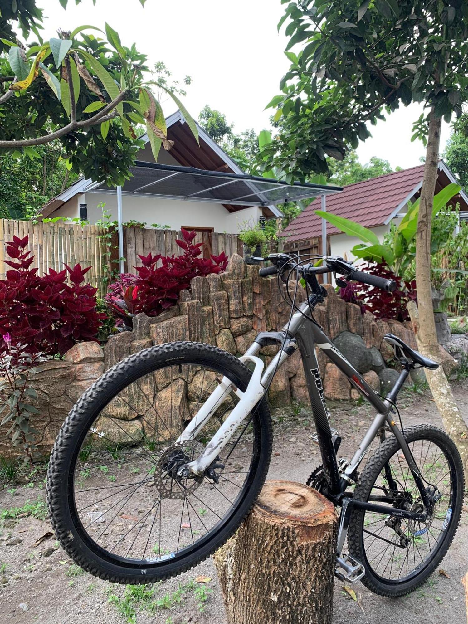 Avocado Homestay Tetebatu Dış mekan fotoğraf