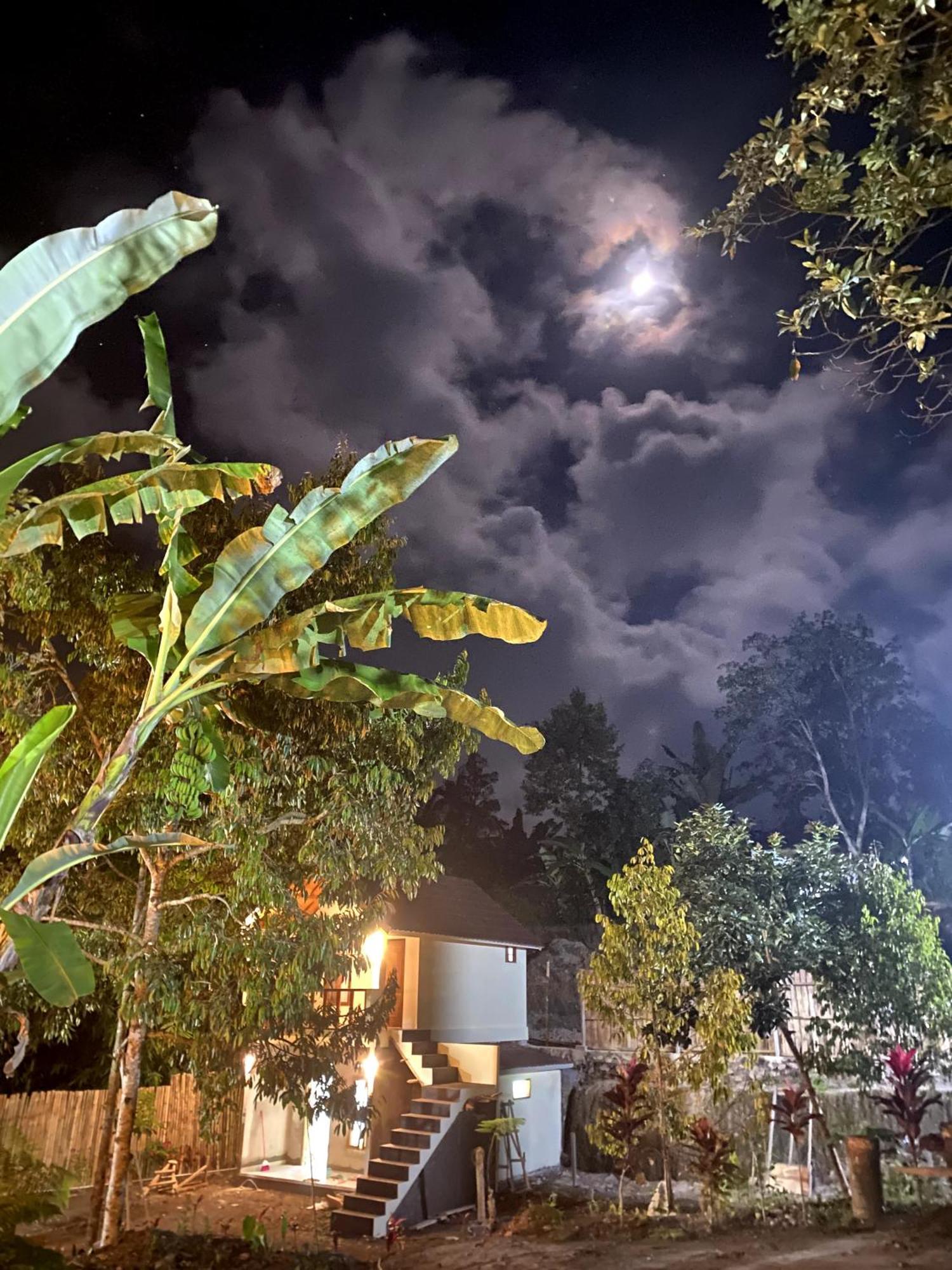 Avocado Homestay Tetebatu Dış mekan fotoğraf