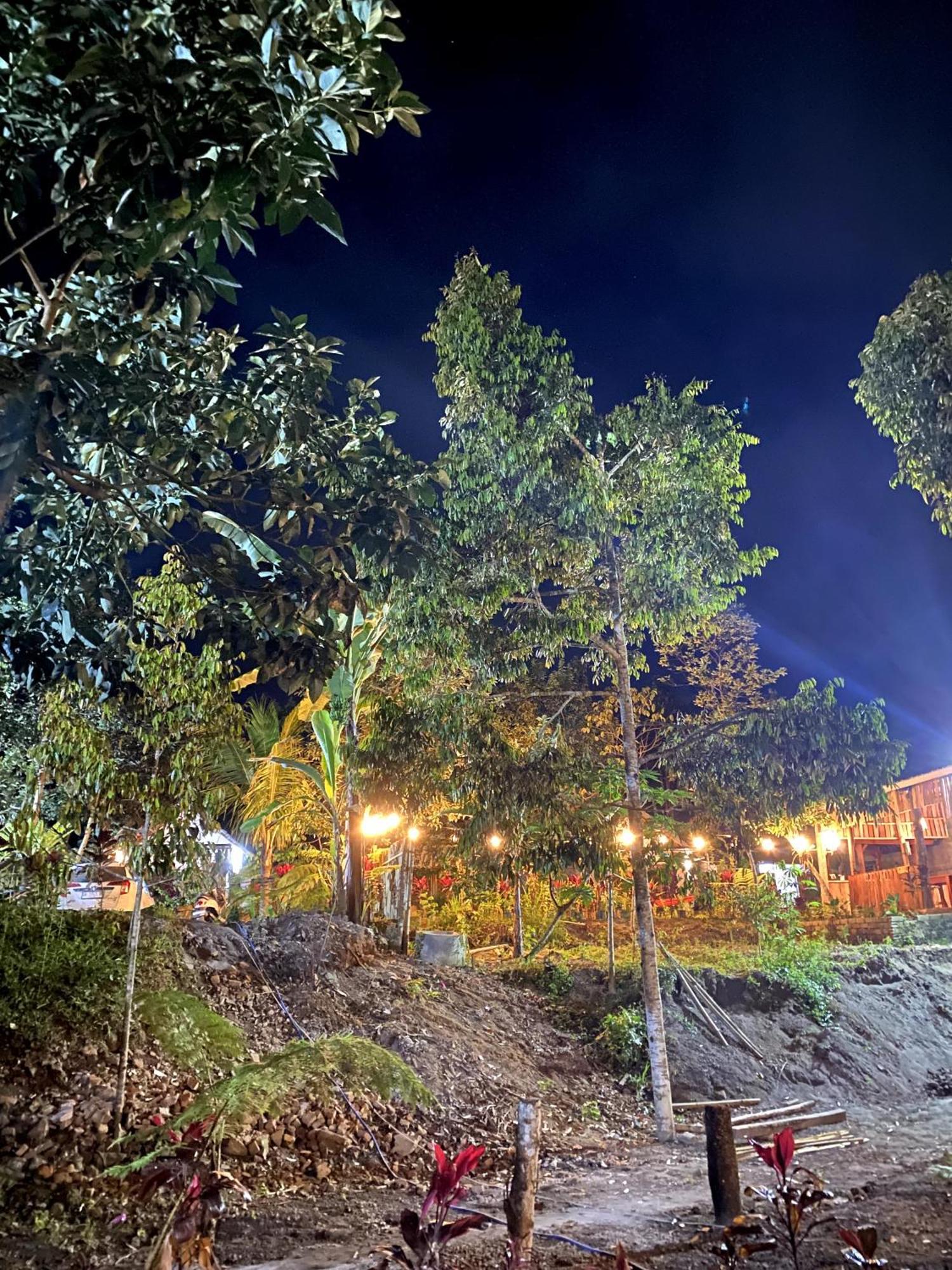 Avocado Homestay Tetebatu Dış mekan fotoğraf